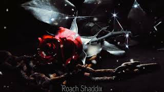 Papa Roach - Nights Of Love. ''Sub. Español''.