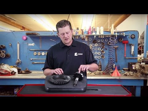 Shop | YGK073 - (31073) | Randy's Worldwide Shop | YGK073 - (31073) | Randy's Worldwide