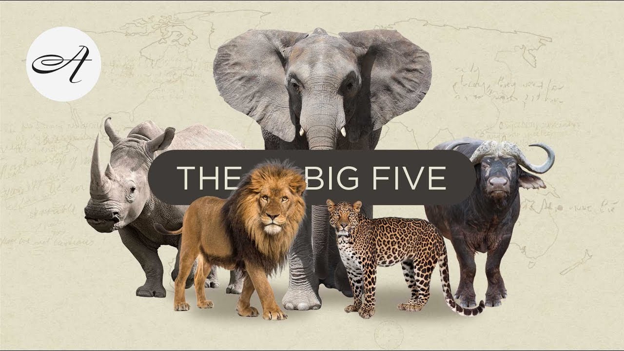 The Big Five with Audley Travel