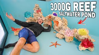 We Built a Giant REEF Inside Our SALTWATER POND!