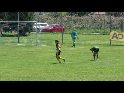 ZNK Olimpija Ljubljana - Carinthians LIWOdruck Hornets