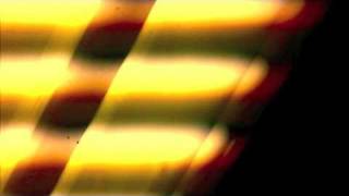 Trick Daddy - Shut Up Dubstep Remix Alphabetic