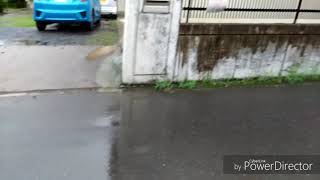 友達の家に行く時に撮った、ボツ動画w