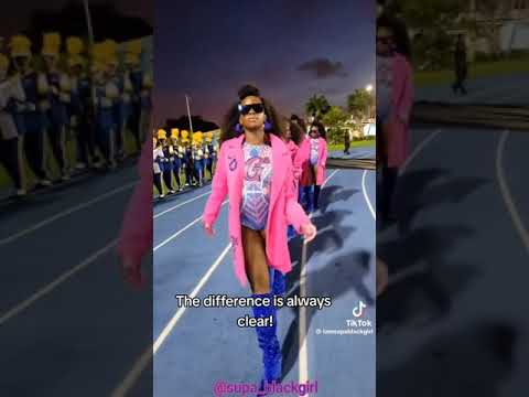 Miami northwestern golden girls entrance 2023-2024