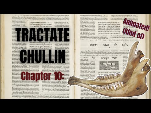 An Animated Summary of the Entire Talmud | Book 32, Chapter 10