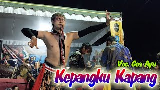 Download lagu KEPANGKU KAPANG COVER ROGO SAMBOYO PUTRO RCO AUDIO... mp3