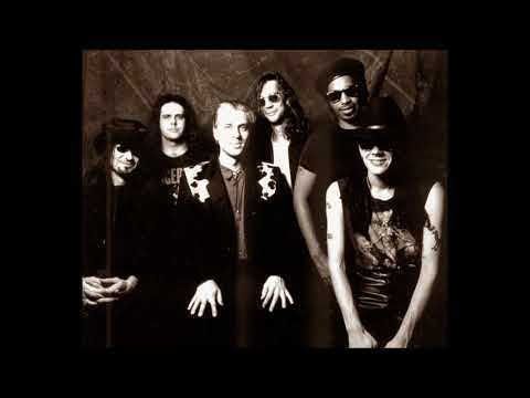 Revolting Cocks — Da Ya Think I'm Sexy?