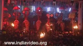 Elephant pageantry at Pisharikkavu Temple 