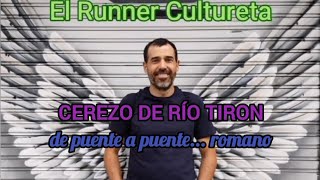 Cerezo de Río Tirón