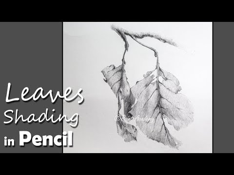 Mountains and Pine Tress Watercolor Pencil Landscape Drawing | steps to follow