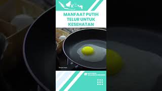 Makan Telur Putih Bagus untuk Kesehatan Tubuh, Termasuk Bebas Kolesterol hingga Kaya Protein