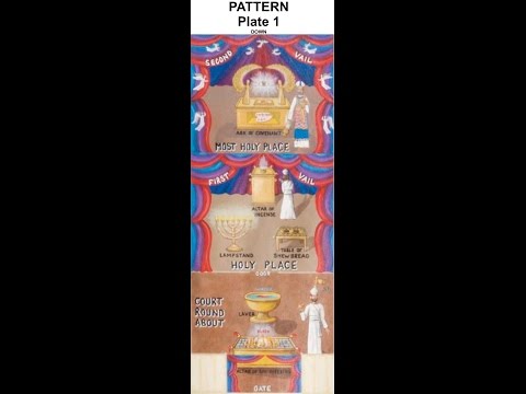 Sunday January 22 2017