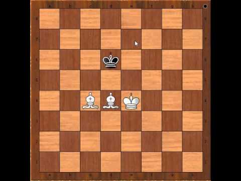 Mating with a King and two Bishops