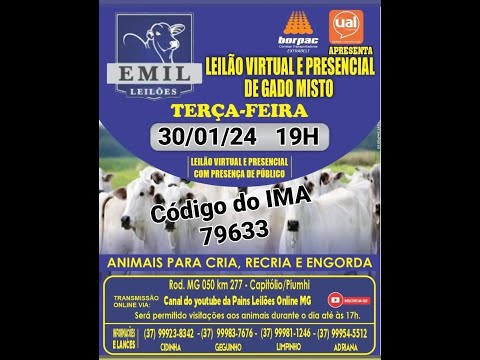 80º Leilão Virtual - EMIL Leilões - Capitólio/Piumhi - MG