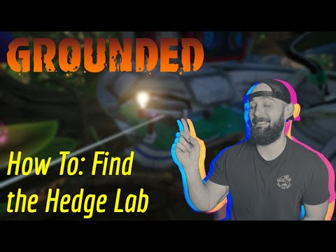 Finding the Hedge Lab | Groudned Tutorial #Grounded #Survival