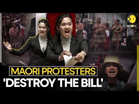 New Zealand: Maori Protesters Protest Outside Parliament Against Treaty Bill | WION Originals