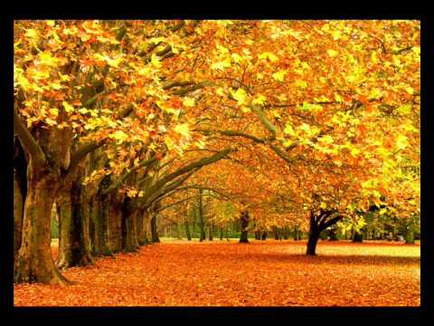 Chicane - Autumn Tactics (The Thrillseekers Remix)