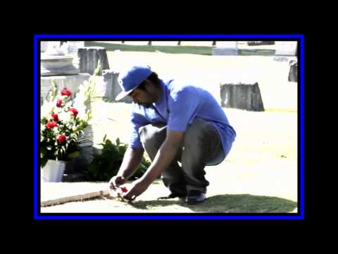 cashinout- queenn sorriell