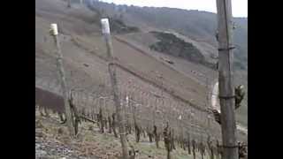 preview picture of video 'BWI Vin - Weingut Christian Klein'