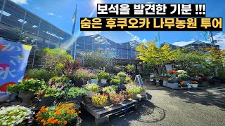 숨은 후쿠오카 나무농원 투어, 유명해지기 전에 꼭 가보세요!