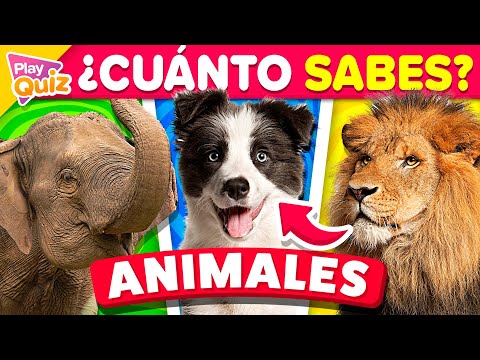 How Much Do You Know About Animals? 🐸🐷🦁 | Zoology Questions and Answers | Play Animal Quiz