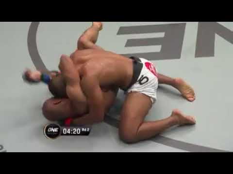 one championship: “Alligator “ be the hunter or the hunted