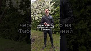 Поздравление с 1 мая от Академии питомниководства