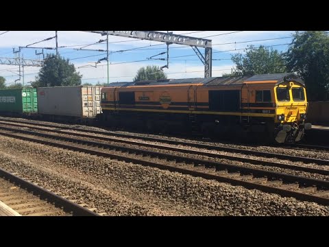Orange Freightliner 66413 ‘Lest We Forget’ Hauling A Container Liner Past Tamworth 30/7/20