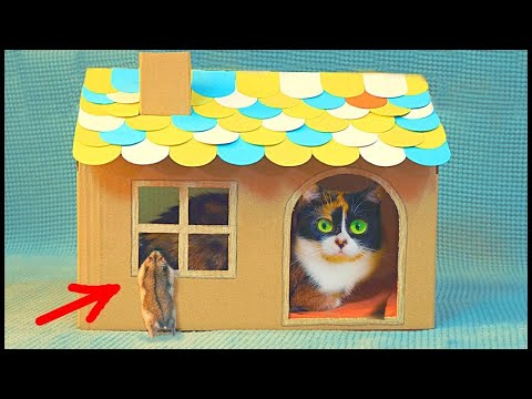 DIY. Kartonový dům pro kočku