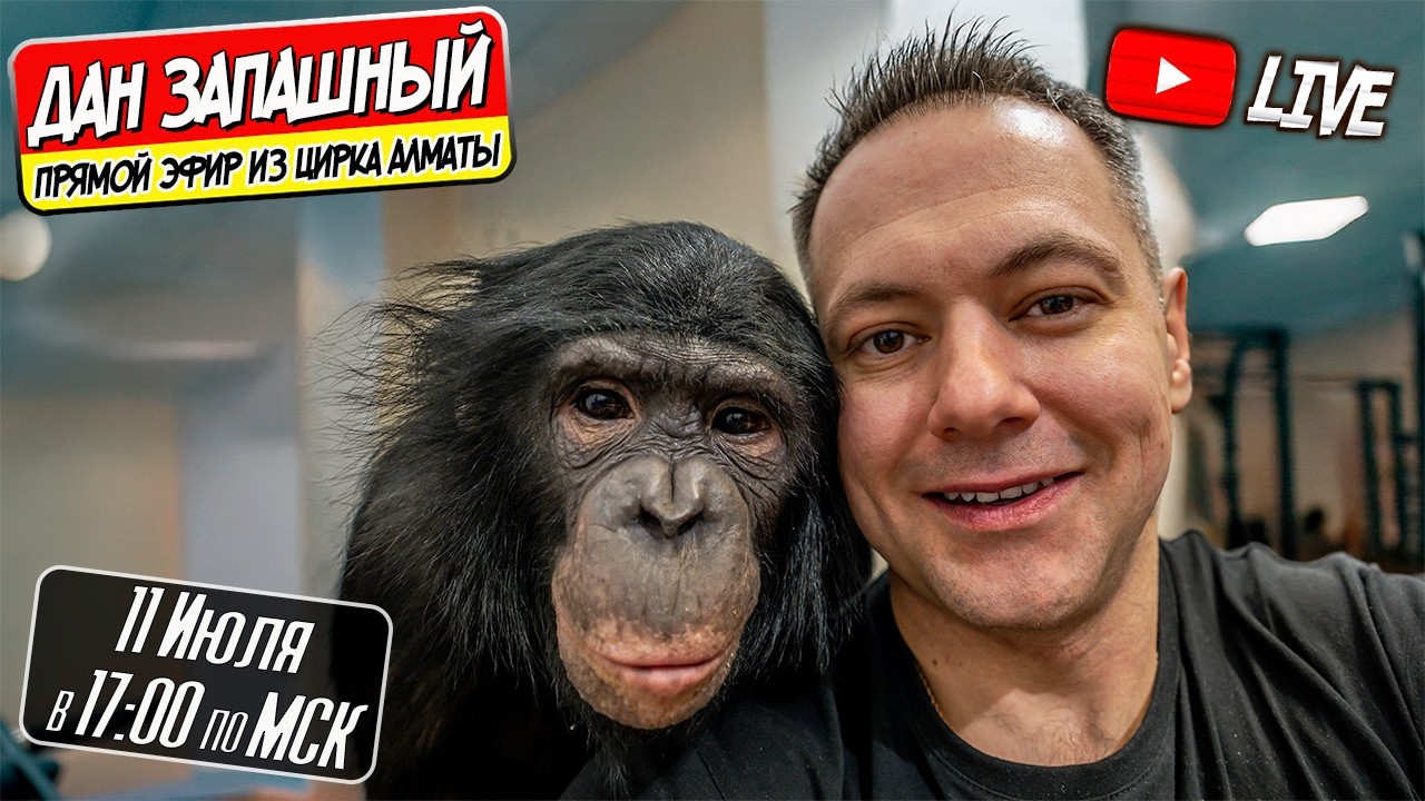 🔴 Живой Разговор с Даном Запашным — Прямой Эфир и Q&A