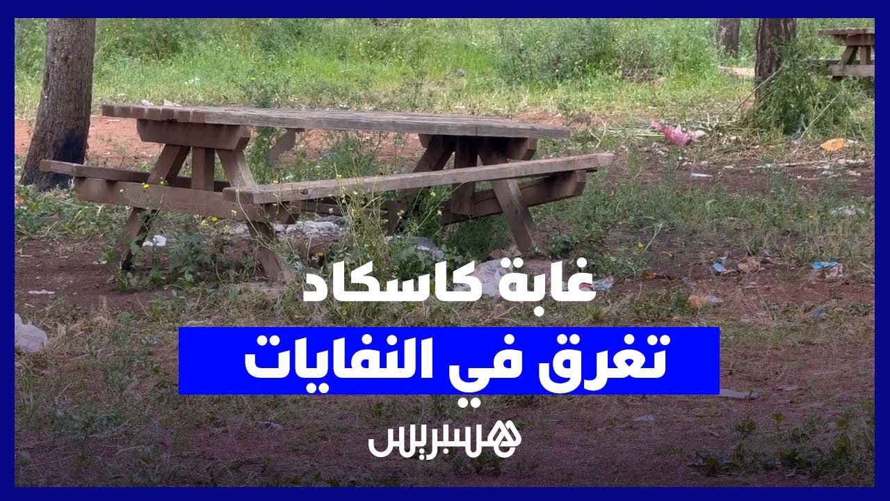 غابة كاسكاد تتحول إلى مطرح للنفايات وسط تحذيرات من كارثة بيئية خطيرة thumbnail