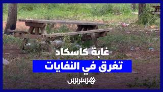 غابة كاسكاد تتحول إلى مطرح للنفايات وسط تحذيرات من كارثة بيئية خطيرة thumbnail