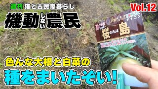 大根と白菜の種をまいて台風とヘビーな１週間っ！【菜園Vlog】