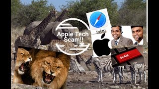 Apple Tech Support Scam Safari Confusion (with subtitles).