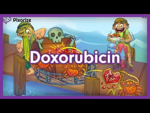 Doxorubicin Hydrochloride Injection 50 Mg