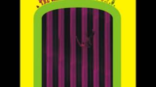 Acid mother temple & the melting paraiso u.f.o - pink lady lemonade (explosive love)