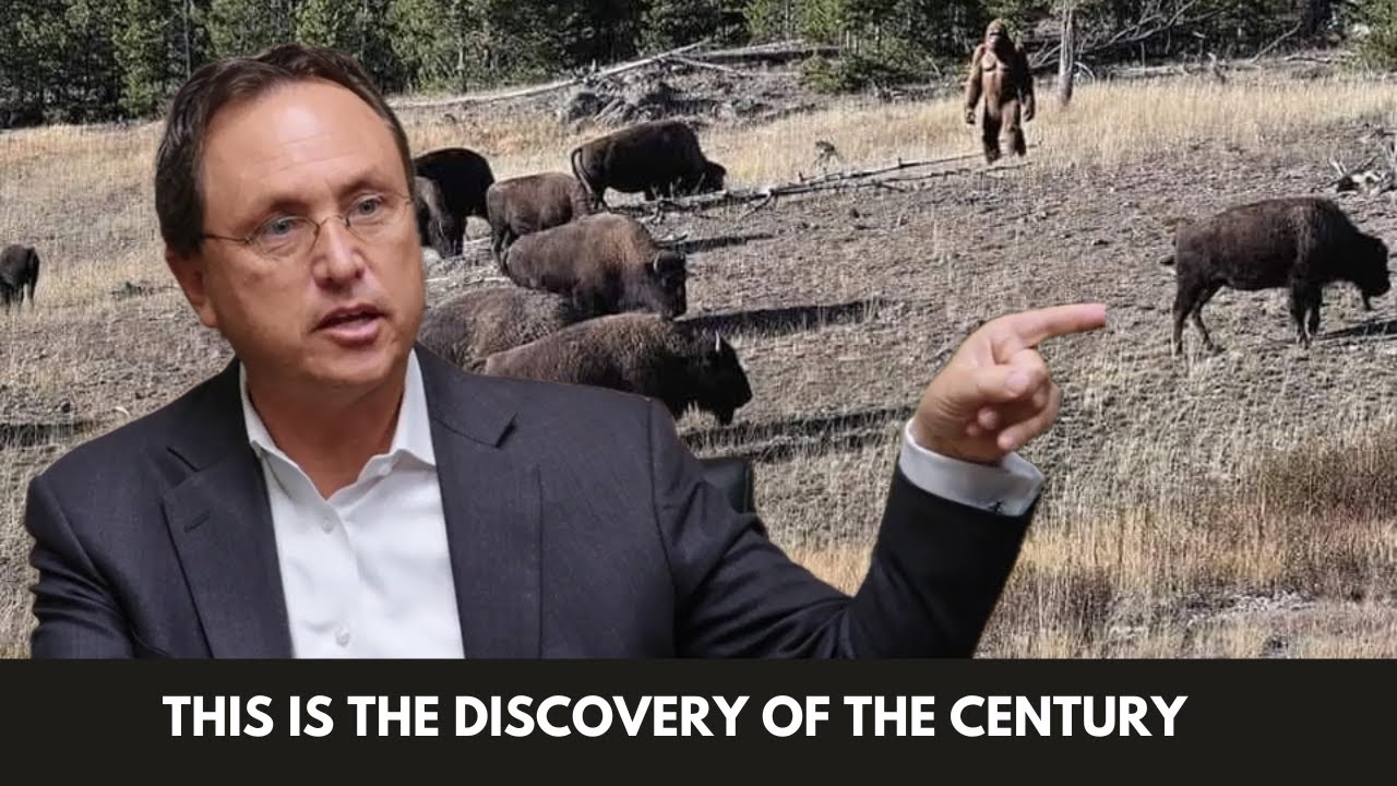 YouTube Thumbnail Downloader FULL HQ IMAGE