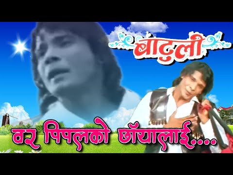 Bar Pipalko Chhayalai Samjhi || Rajesh Payal Rai || Batuli || Nepali Movie Original HD Audio Song