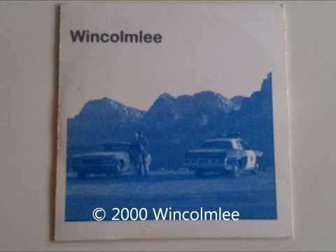Wincolmlee | Project song | Fools with False Smiles