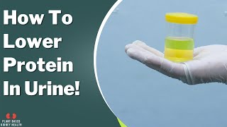 How to lower protein in the urine? Diet and medications.