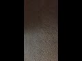 Opening To Jimmy Neutron Sea Of Trouble 2003 VHS Reuploaded