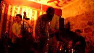 Steve Potts 2007 Jan 13 - 7 Lézards