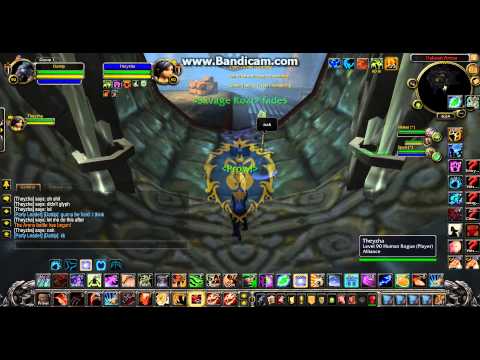 Feral Druid and Assassination Rogue VS Resto Druid and Unholy DK