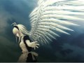 Dream Trance - Piece of Heaven