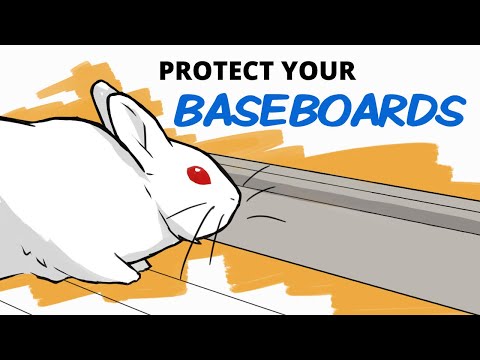 YouTube video about: How to stop rabbits from chewing wood?