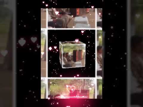 GAOSALA GUTO DJ SHIVA 12, 2022