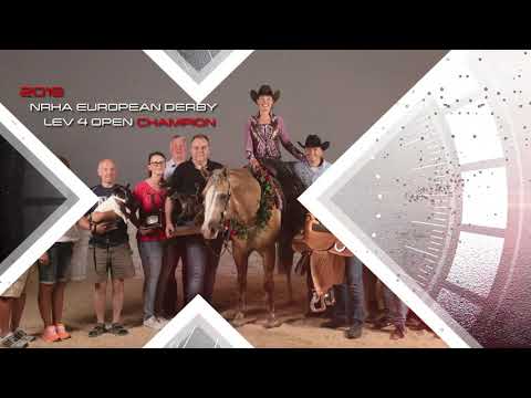 SHINERS VOODOO - Stallion Promotion 2020