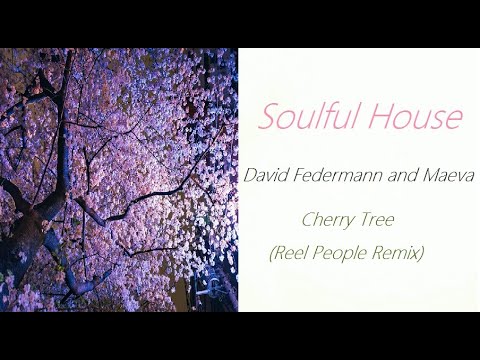 Soulful House [David Federmann and Maeva - Cherry Tree (Reel People Remix)] | ♫ RE ♫