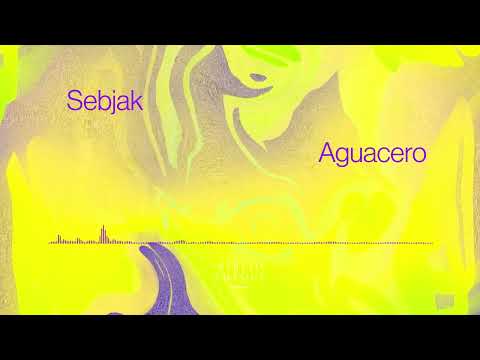 Sebjak – Aguacero (Original Mix)