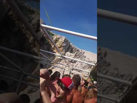 Dropzone festival 2020